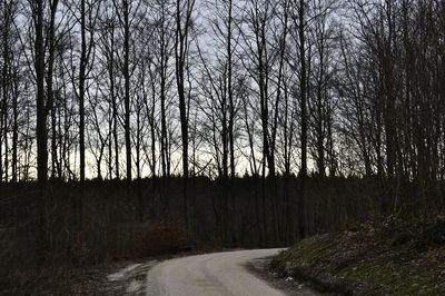 Road amidst bare trees in forest against sky