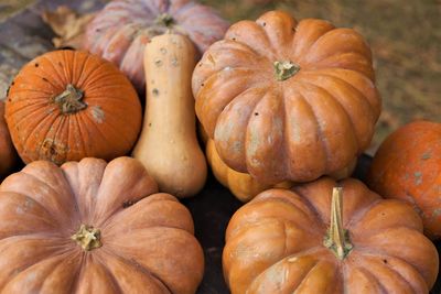 Full frame shot of pumpkins