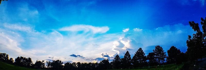 Low angle view of silhouette trees against blue sky