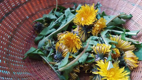 High angle view of yellow flowering plant in basket