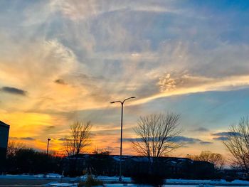 Snow covered plants against sky during sunset