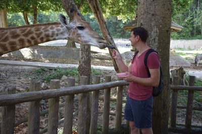 Side view of man standing by tree in zoo