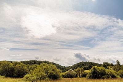 Scenic view of landscape against sky