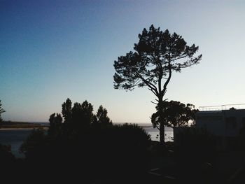 View of trees against clear blue sky