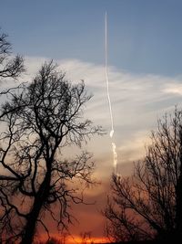 Low angle view of silhouette trees against sky at sunset