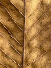 Full frame shot of abstract background