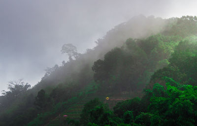Scenic view of trees and mountains against sky