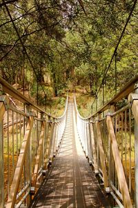 Footbridge over walkway