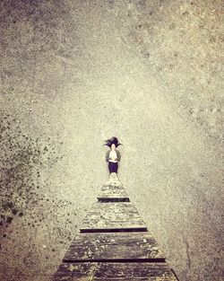 Rear view of woman standing on staircase