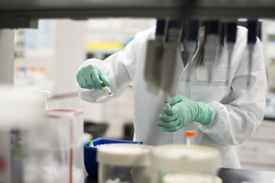 Midsection of scientist examining samples in laboratory