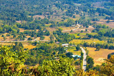 Scenic view of field and trees in forest