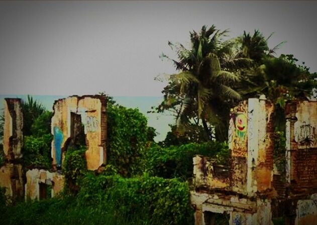 abandoned, obsolete, old, deterioration, run-down, damaged, built structure, weathered, grass, architecture, tree, wood - material, sky, clear sky, building exterior, field, no people, day, outdoors, palm tree