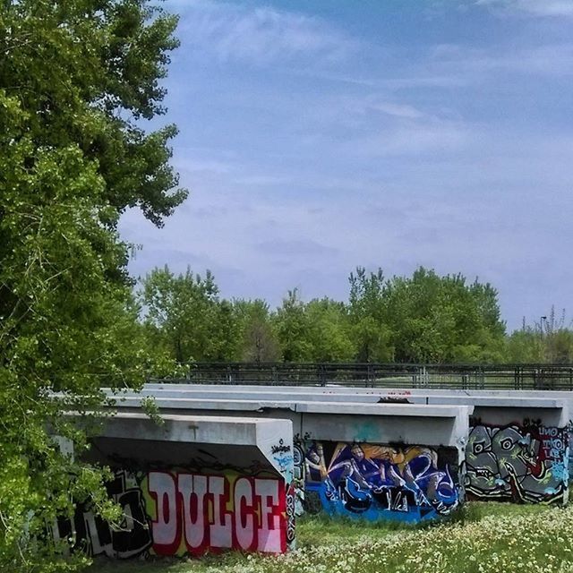 tree, sky, day, growth, cloud - sky, outdoors, nature, green color, built structure, water, no people, tranquility, cloud, sunlight, park - man made space, architecture, multi colored, railing, tranquil scene, plant