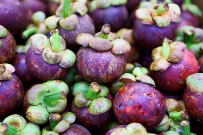 A heap of fresh purple mangosteen, is a tropical evergreen tree, it grows mainly in southeast asia