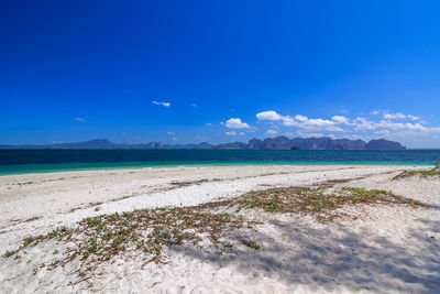 Scenic view of beach against blue sky