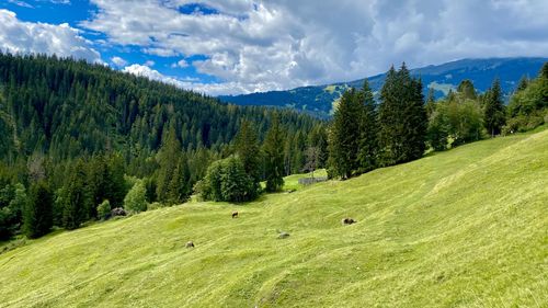 Panoramic view of landscape against claudy sky