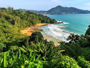 High angle view of sea and trees against sky