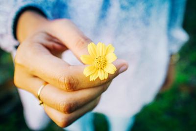 Midsection of woman holding yellow flower