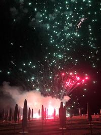 View of firework display at night