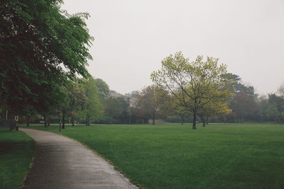 Footpath amidst trees