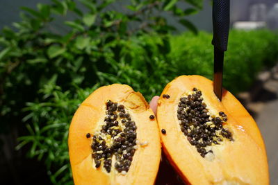 Close-up of orange slice