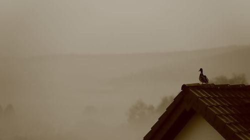Silhouette of man standing on roof against sky