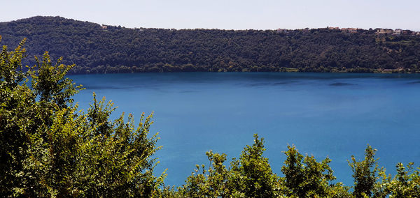 Scenic view of lake in forest against sky