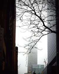 Low angle view of bare tree against buildings