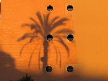 Close-up of orange building
