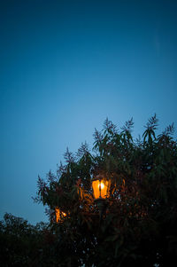 Low angle view of illuminated lights at night