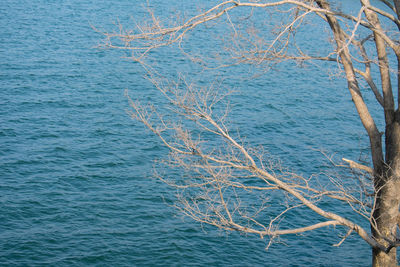 High angle view of blue sea