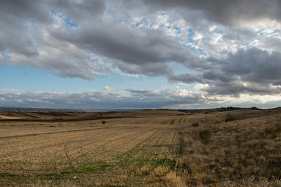 Scenic view of agricultural field against sky