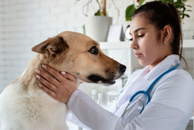 Vet examining dog. puppy at veterinarian doctor. pet check up and vaccination. health care.