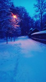 Bare trees covered with snow covered landscape