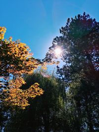 Low angle view of trees against cloudy sky