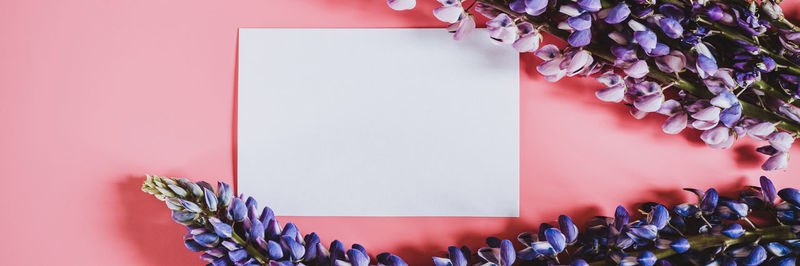 High angle view of pink flower on table