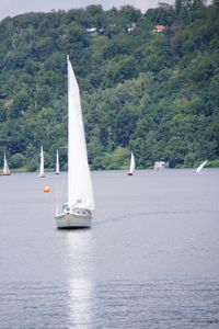 Sailboat sailing on sea against sky