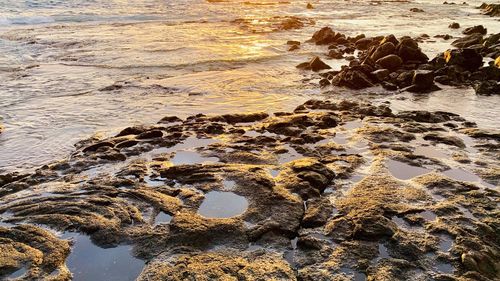 High angle view of rocks on beach