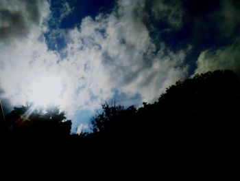 Low angle view of silhouette trees against sky