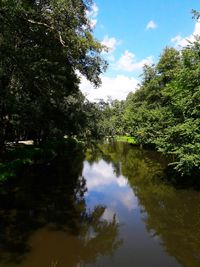 Scenic view of lake in forest against sky
