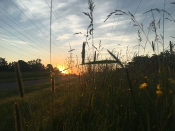 Scenic view of field against sky during sunset