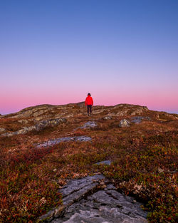 Rear view of man standing on rock against clear sky