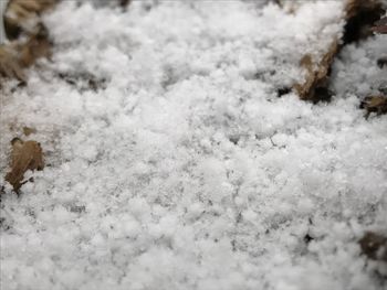 Close-up of snowflakes on snow