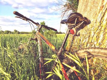Close-up of plants on field against sky