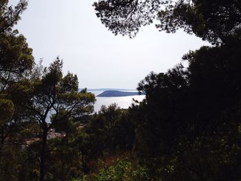 Scenic view of landscape and trees against sky