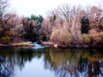 Scenic view of lake in forest during autumn