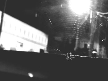 Close-up of spider on web