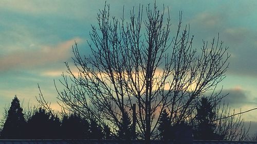 Low angle view of bare trees against cloudy sky