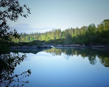 Scenic view of lake in forest against clear sky