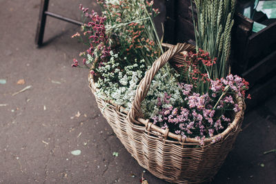 High angle view of potted plants in basket